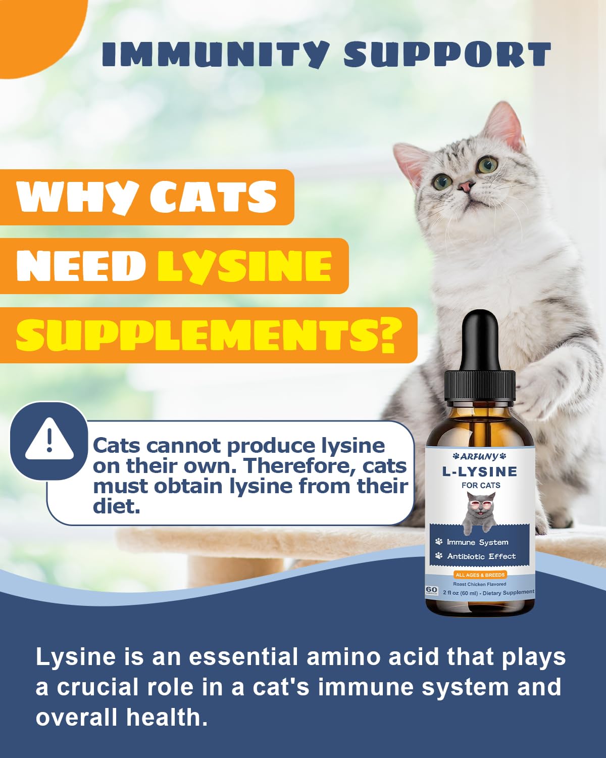 SANTKOL Lysine cats drops chicken flavor aids tasty daily administration.