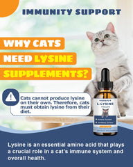 SANTKOL Lysine cats drops chicken flavor aids tasty daily administration.