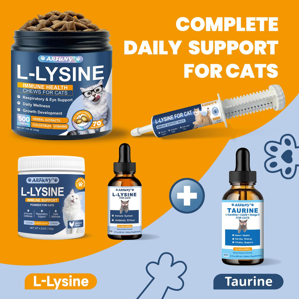 SANTKOL L-Lysine drops liquid texture close-up