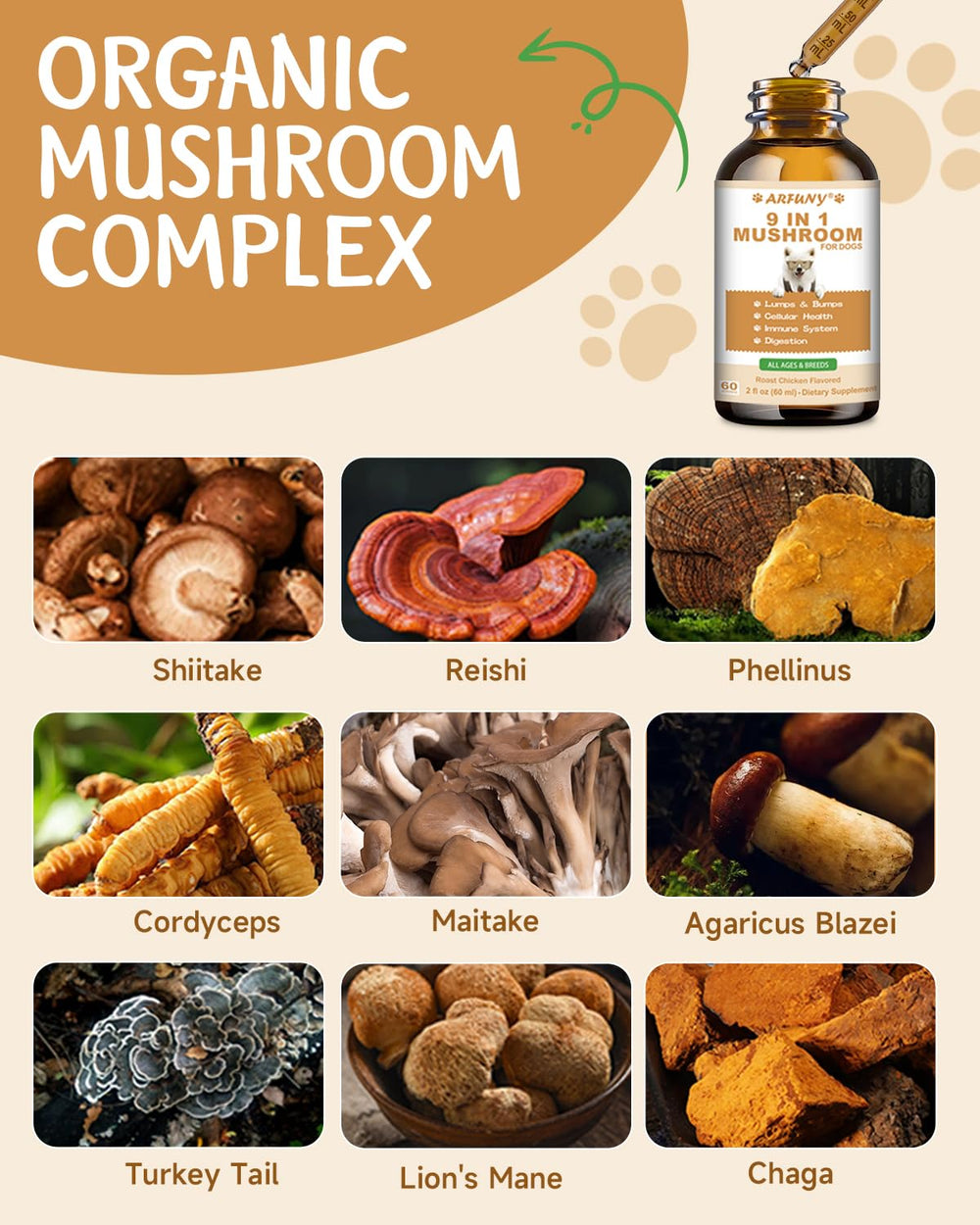 SANTKOL reishi mushroom dog supplement jar on floor highlighting immune resilience.