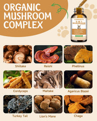 SANTKOL reishi mushroom dog supplement jar on floor highlighting immune resilience.