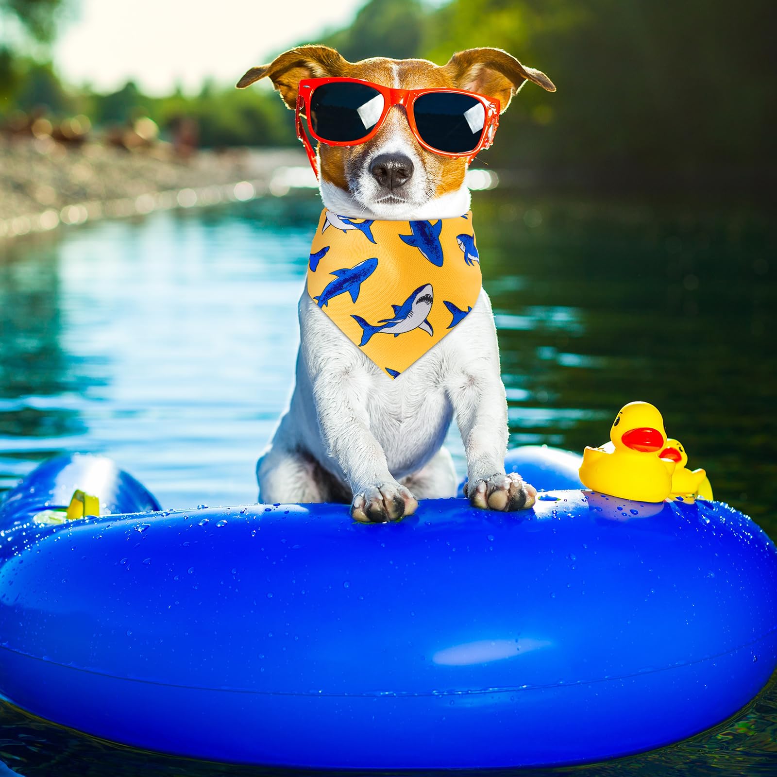 Sanwuta colorful multipack bandanas provide versatile outfits.