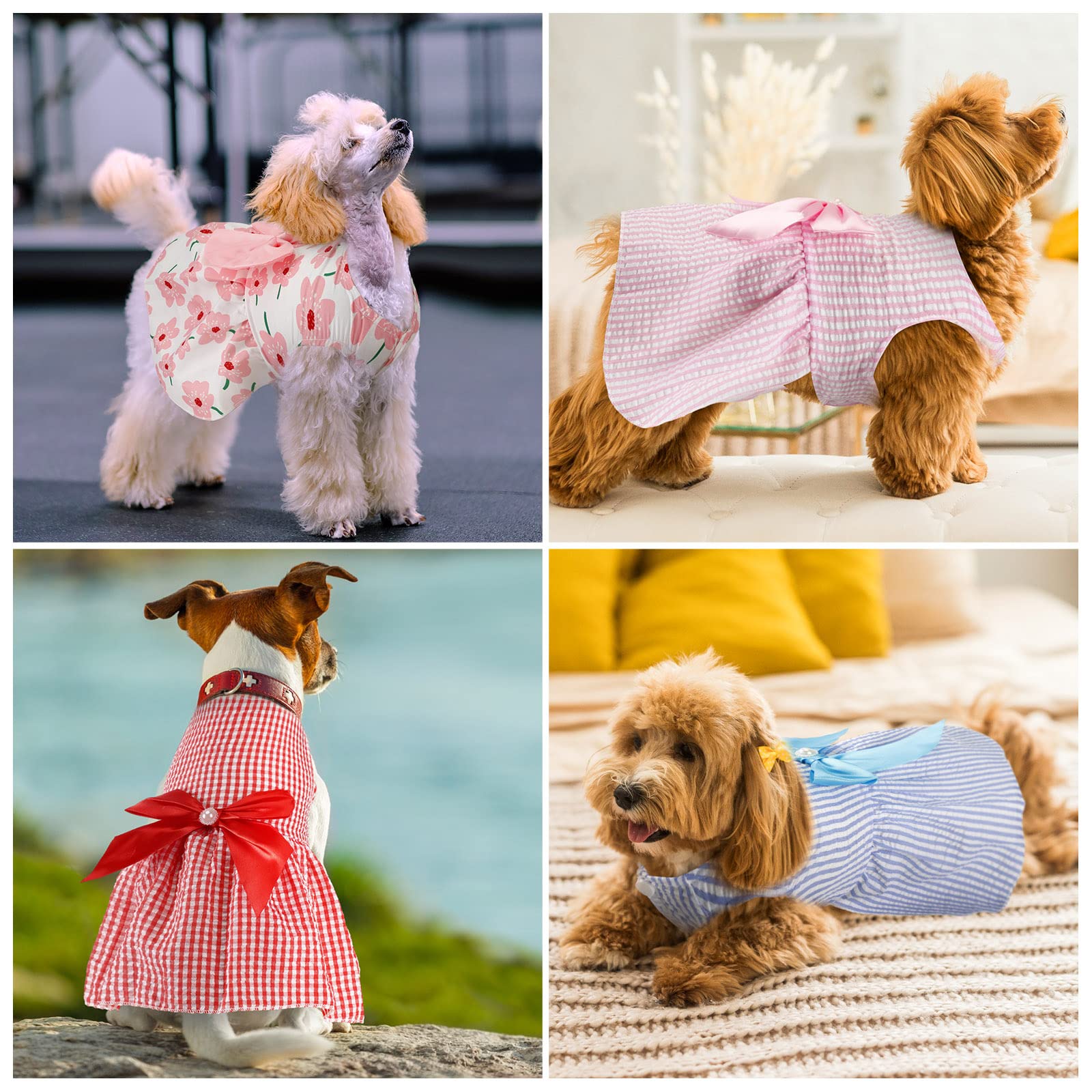 Sanwuta bright floral pattern dog dress for parties and photos