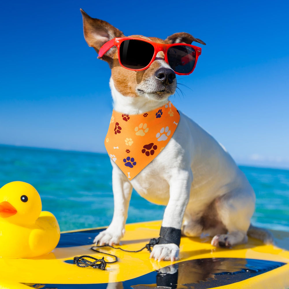 Sanwuta party-collection bandana boosts pet charm at events
