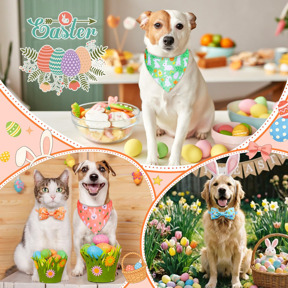 Sanwuta dog wearing Easter gear during events