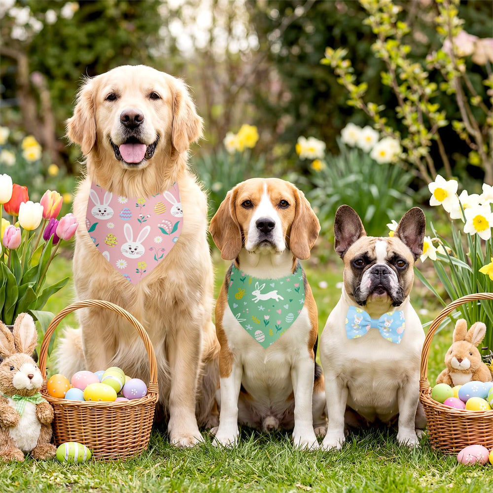 Sanwuta Easter collar bow adjustable size fits small to large dogs
