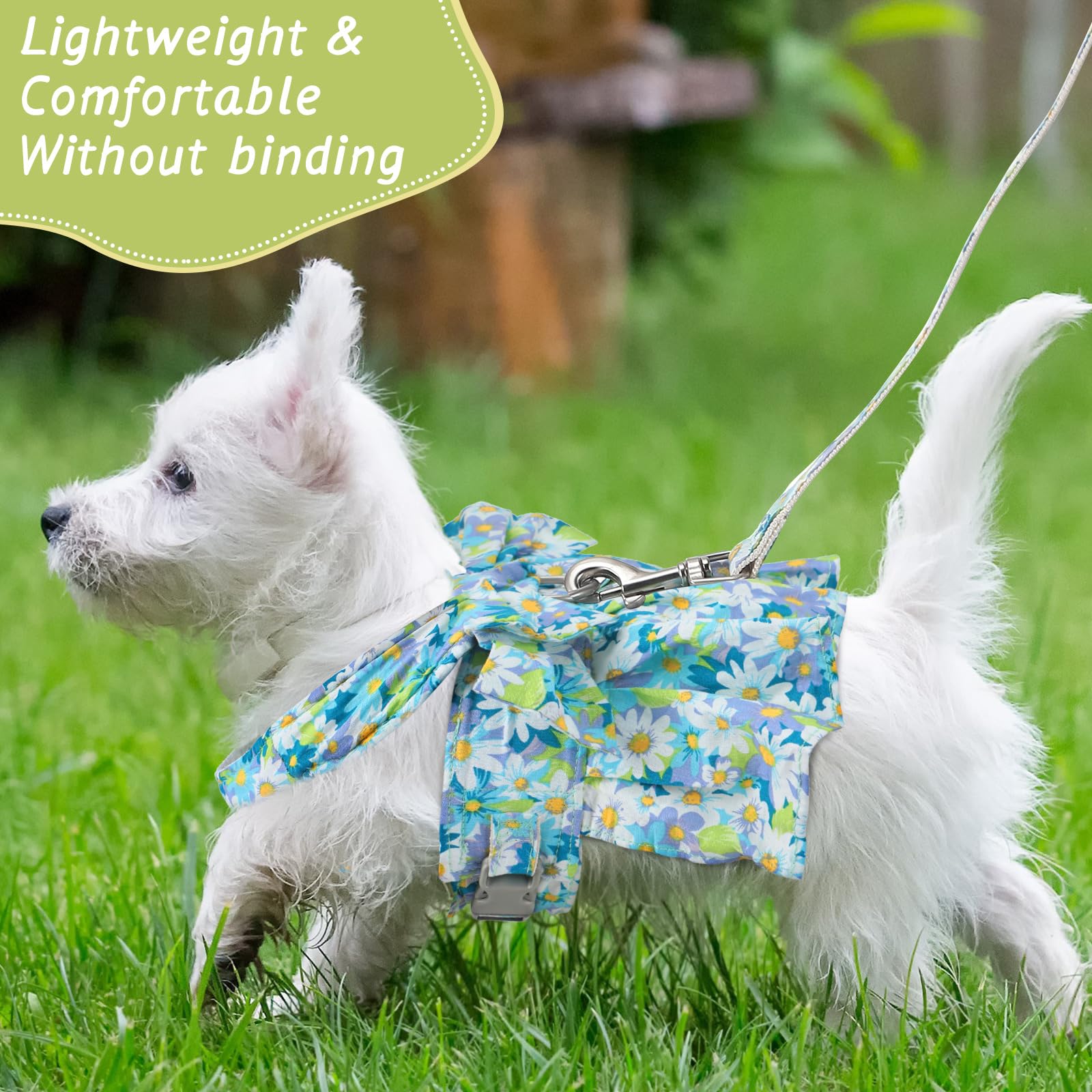 Sanwuta nylon leash included - durable, secure walks