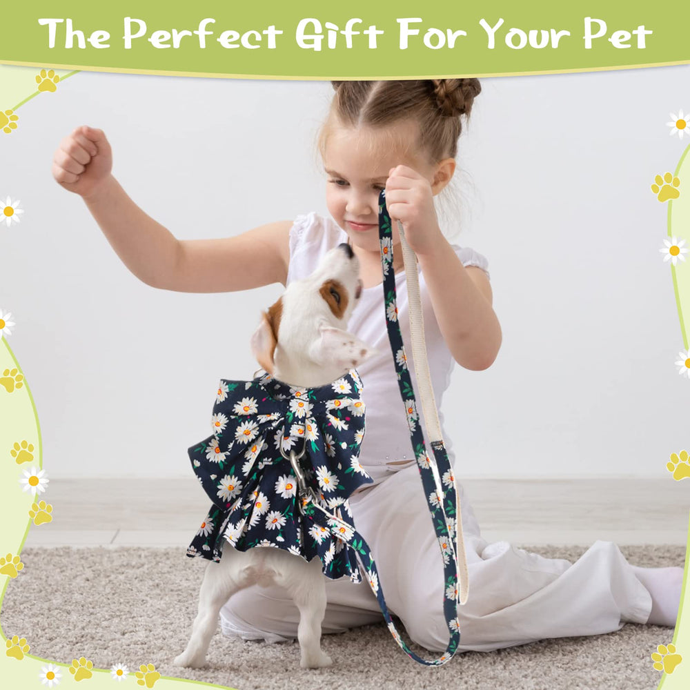 Sanwuta outdoor walk with leash for secure outings