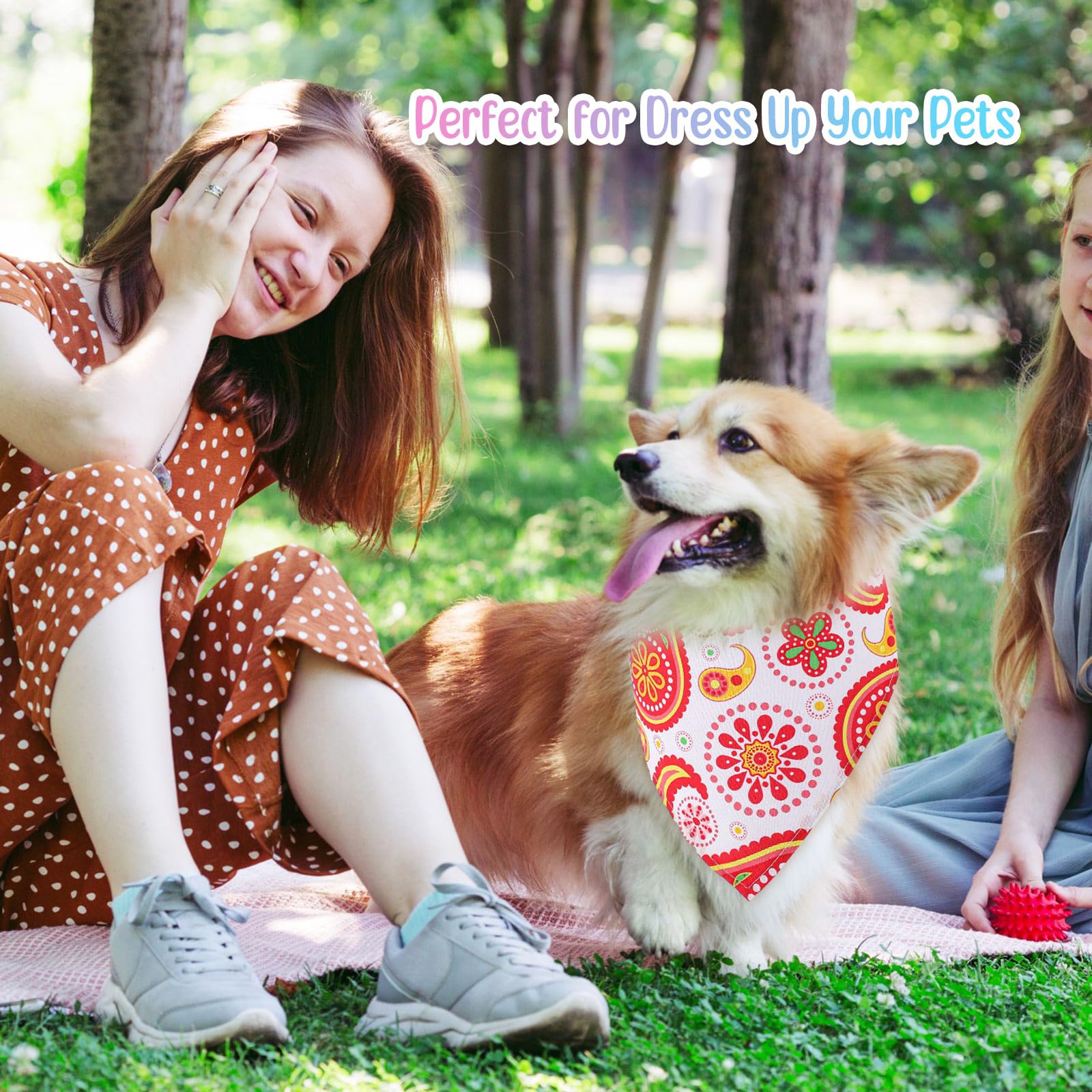 Sanwuta pet bandana set suited for birthdays and grooming sessions.