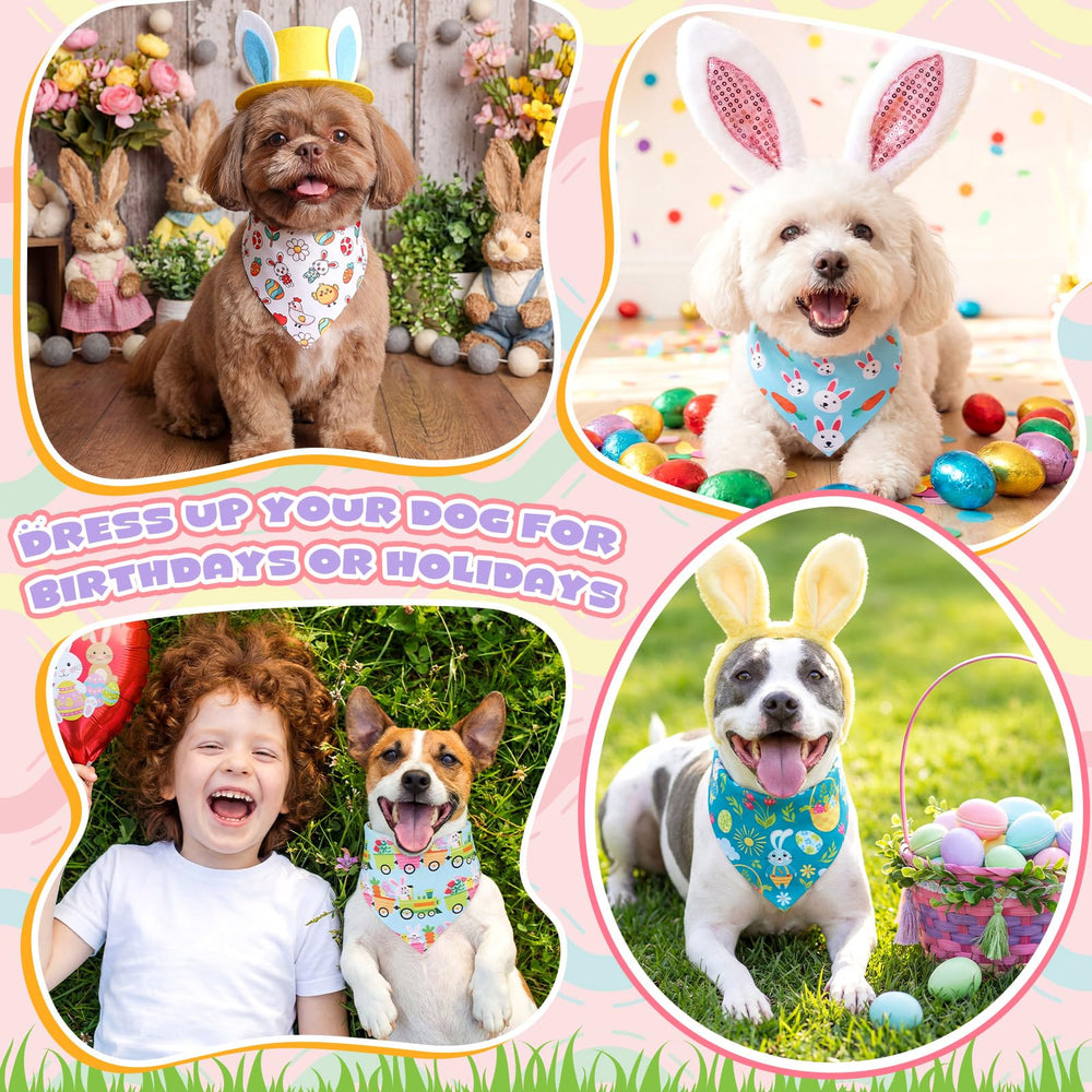 Great value bulk set perfect for gifts to fellow pet owners.