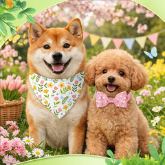 Sanwuta spring dog bandana flower pattern adds vibrant park style.