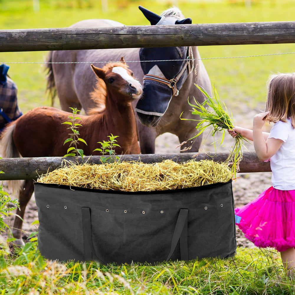 Sanwuta two-pack horse bags offer daily feeding versatility