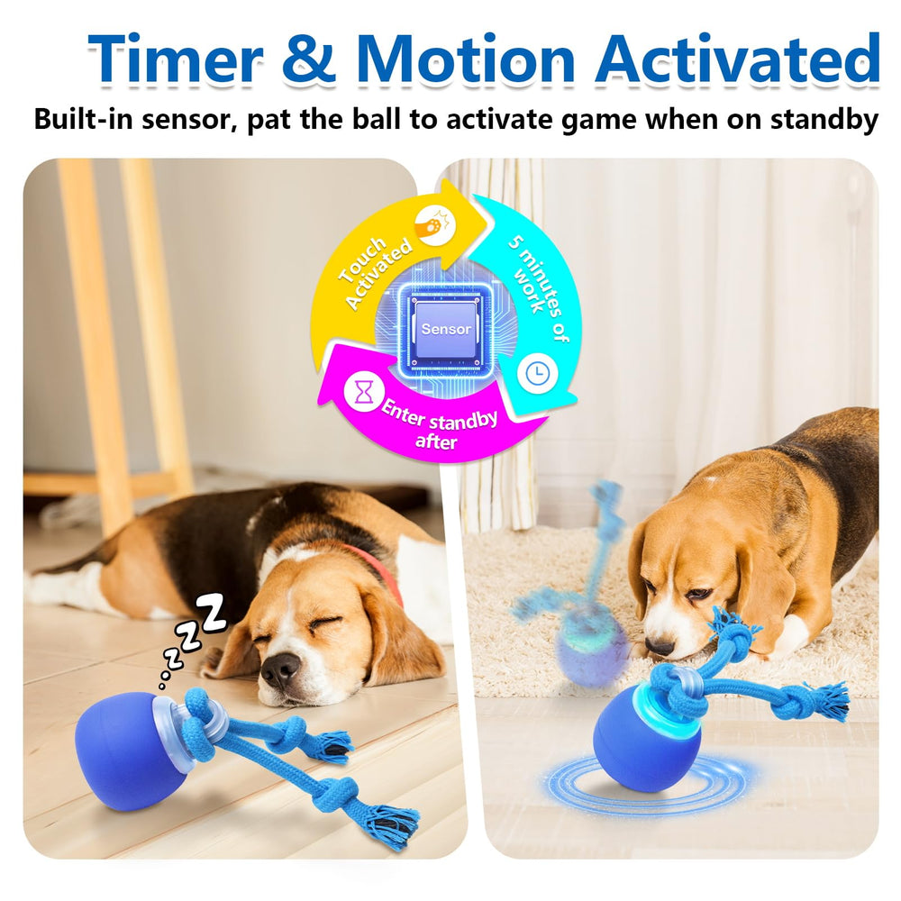 Saolife dog ball chirping sounds engage dogs during fetch.