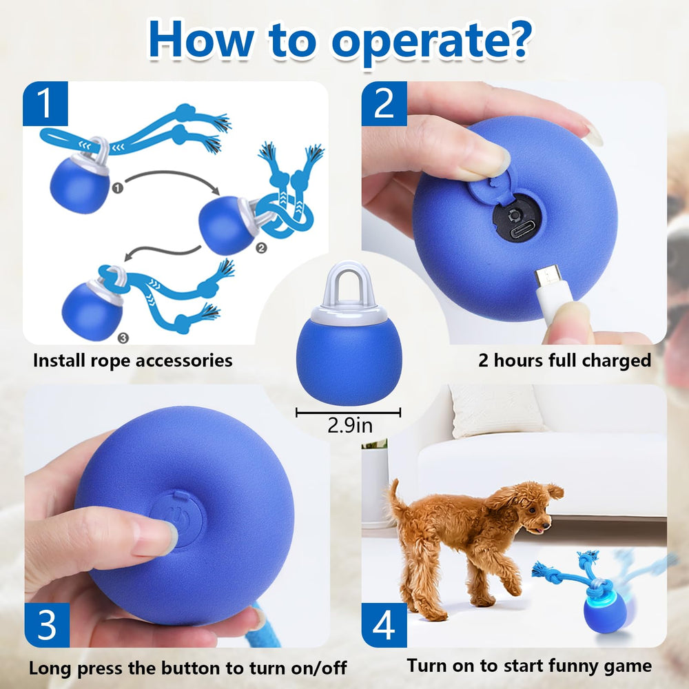 Saolife durable shell dog toy withstands chewing and daily use.