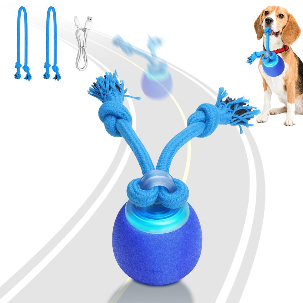 Saolife interactive dog ball motion-activated toy boosts play and mental stimulation.