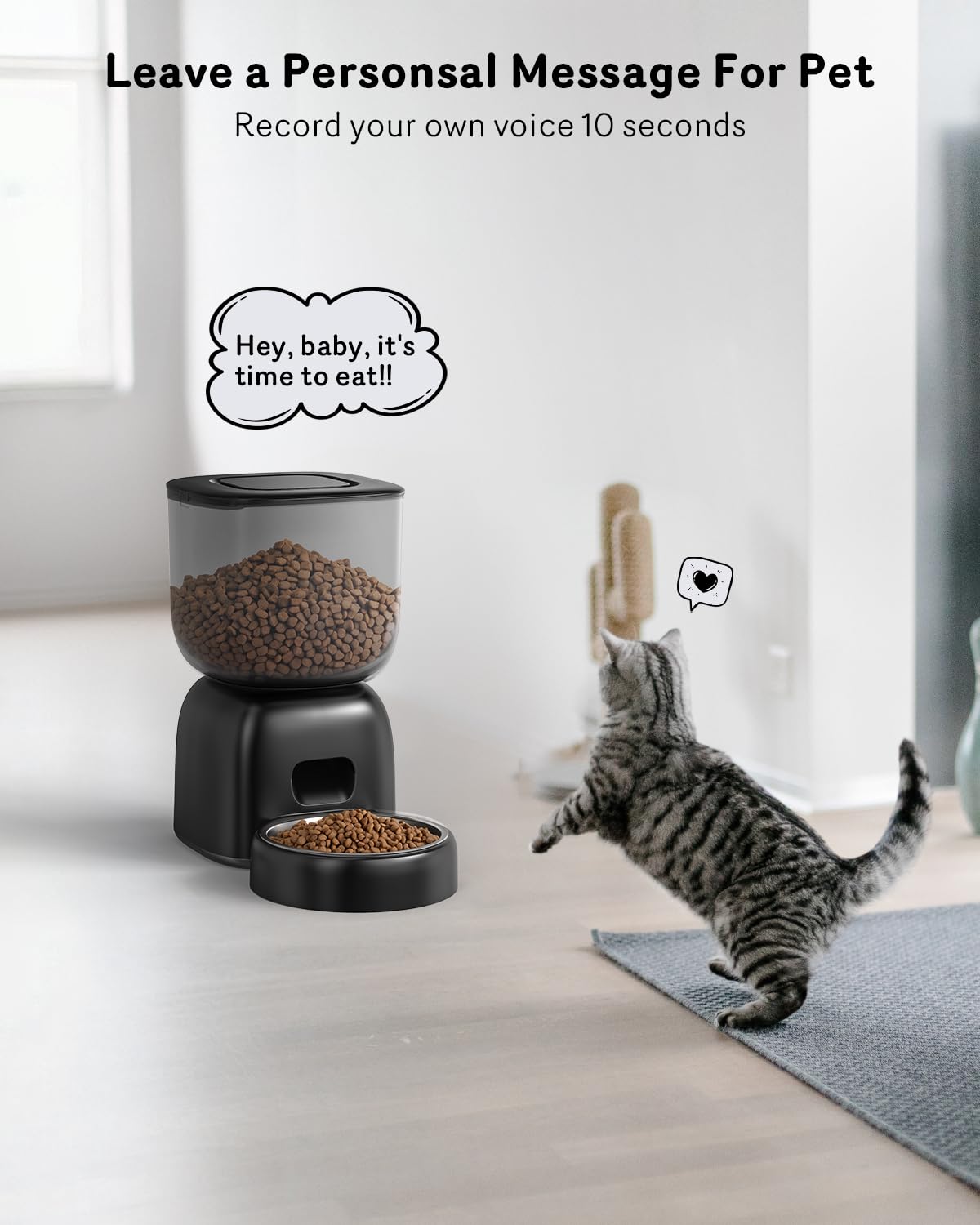 Sarpaws feeder voice recording slot prompts familiar mealtime cues.