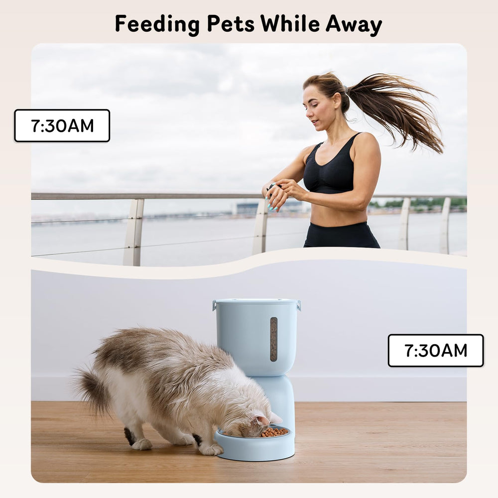 Sarpaws FW1 oxygenated water promotes daily hydration and pet wellbeing.