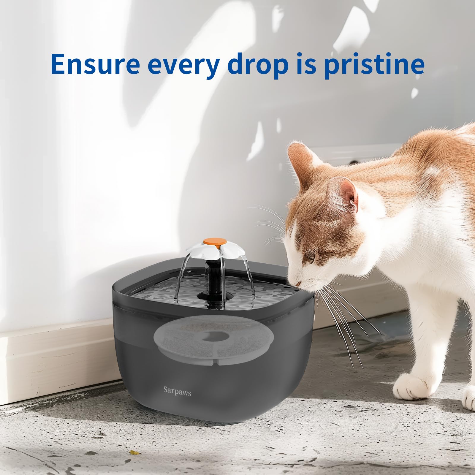 Sarpaws maintenance multipack enables easy filter swaps during cleaning.