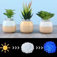 Sasylvia glow rocks walkway and garden decor enhances outdoor ambiance after dusk.