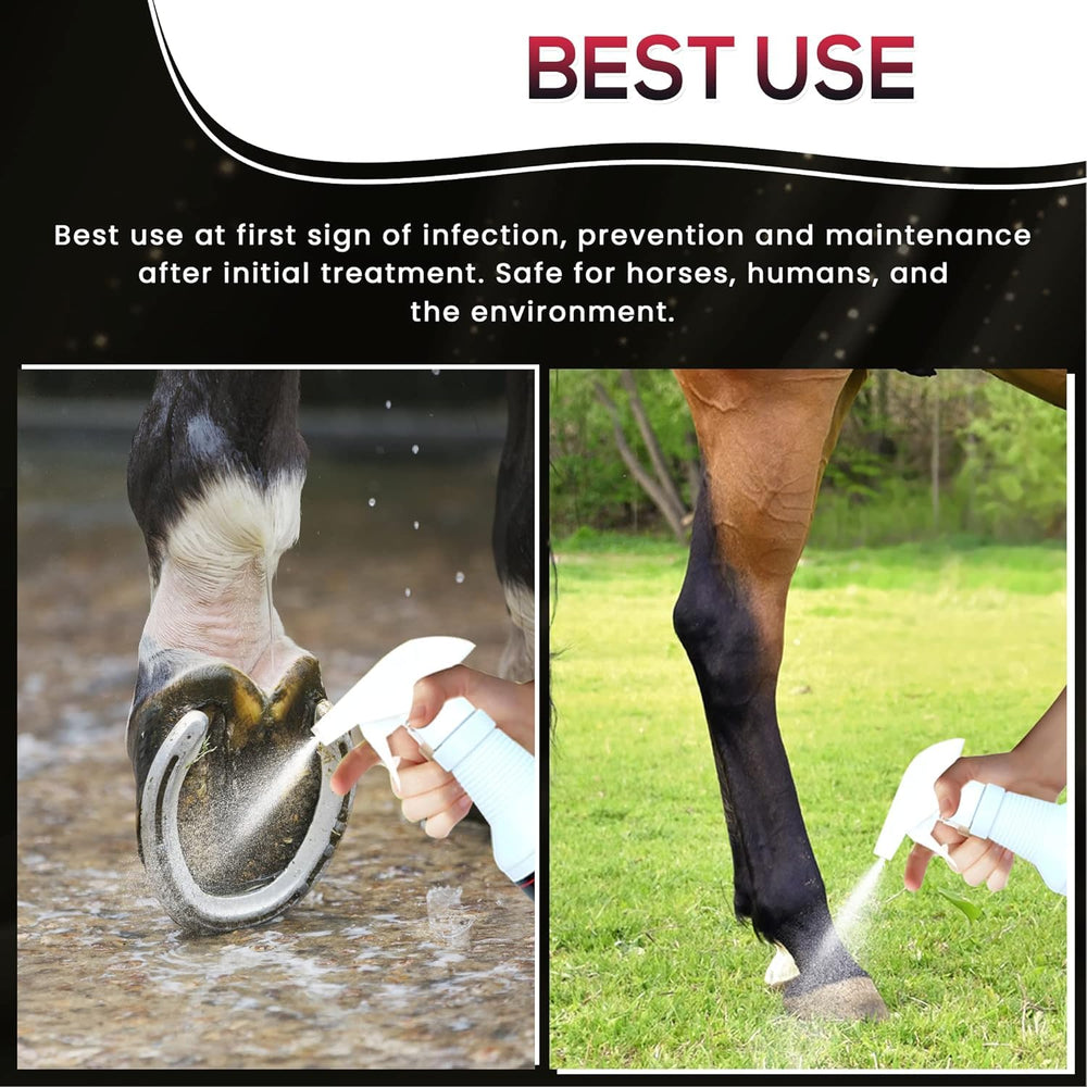 SAV-A-HOOF SBS Spray being applied to the hoof for antiseptic protection.