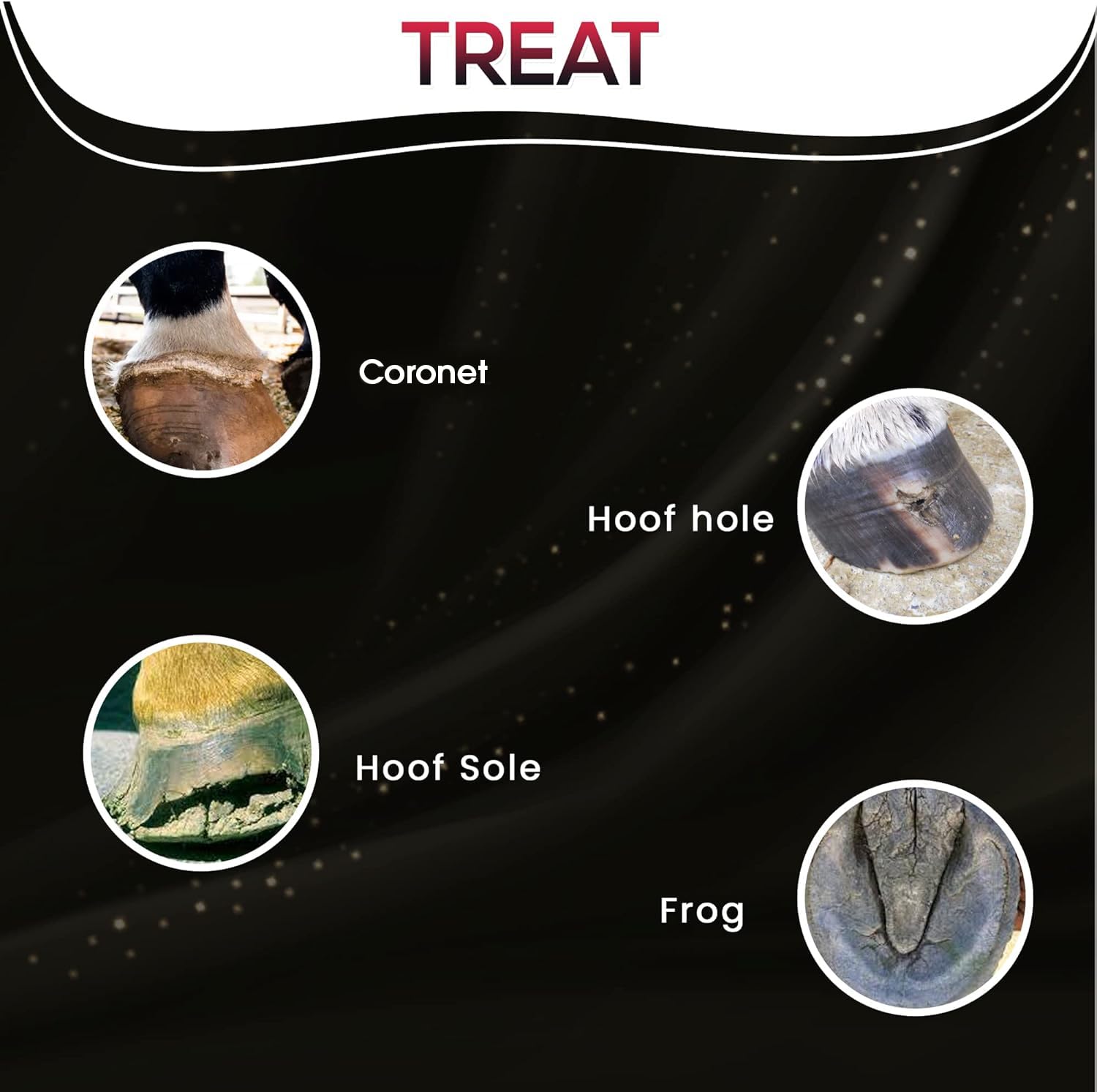 SAV-A-HOOF SBS Spray targets the hoof wall and coronet for lasting protection.