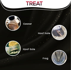 SAV-A-HOOF SBS Spray targets the hoof wall and coronet for lasting protection.