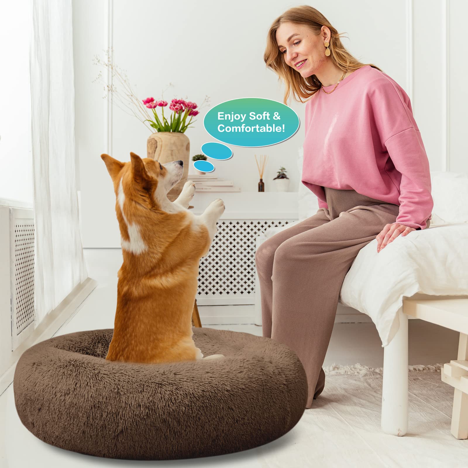 SAVFOX available sizes S to XXL fit dogs and cats up to 25 lbs