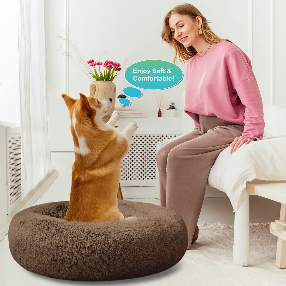 SAVFOX available sizes S to XXL fit dogs and cats up to 25 lbs