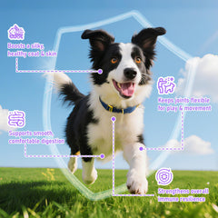 Sawoio collagen contributes to a shiny, healthy coat