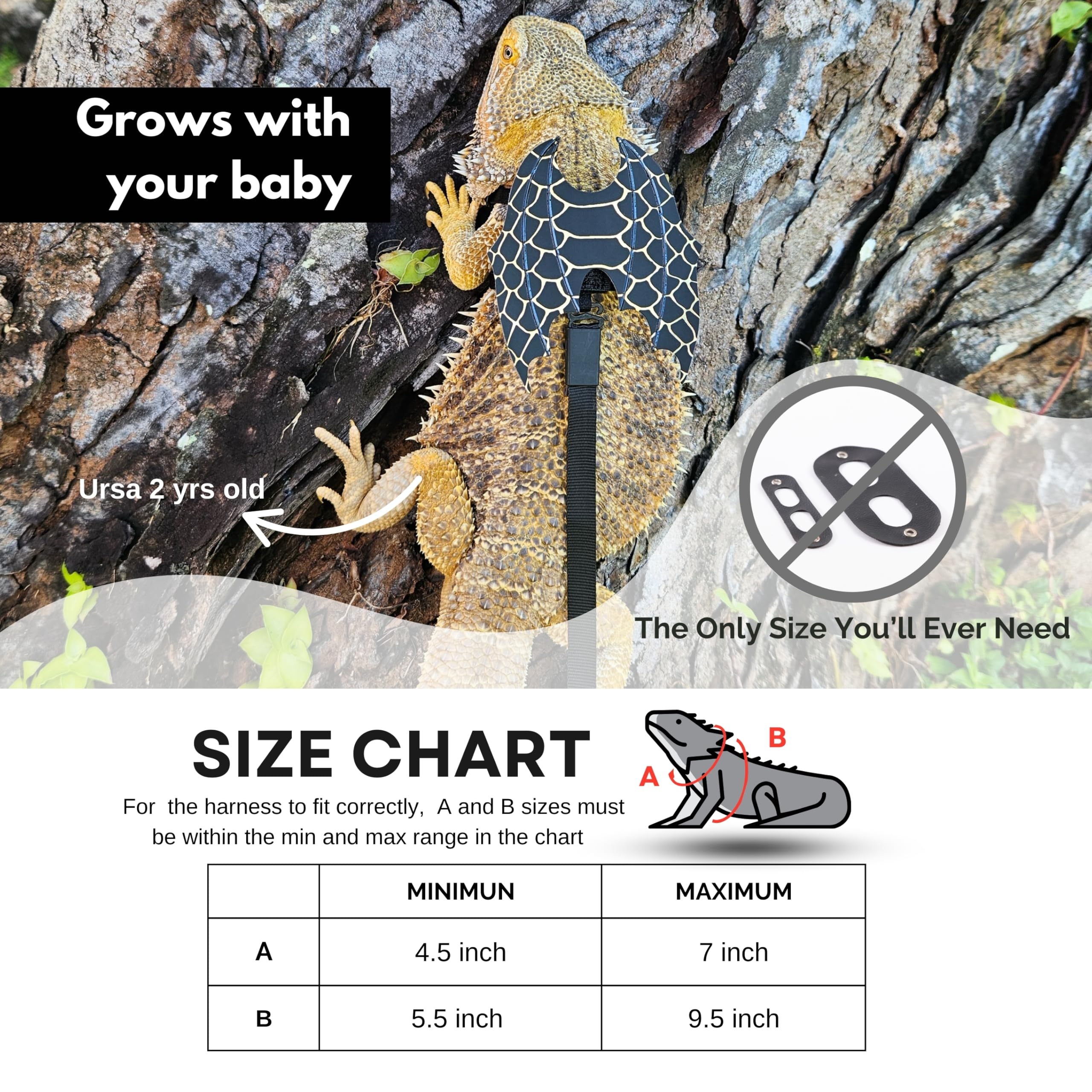 Scaly Pet adjustable harness straps designed for growing reptiles