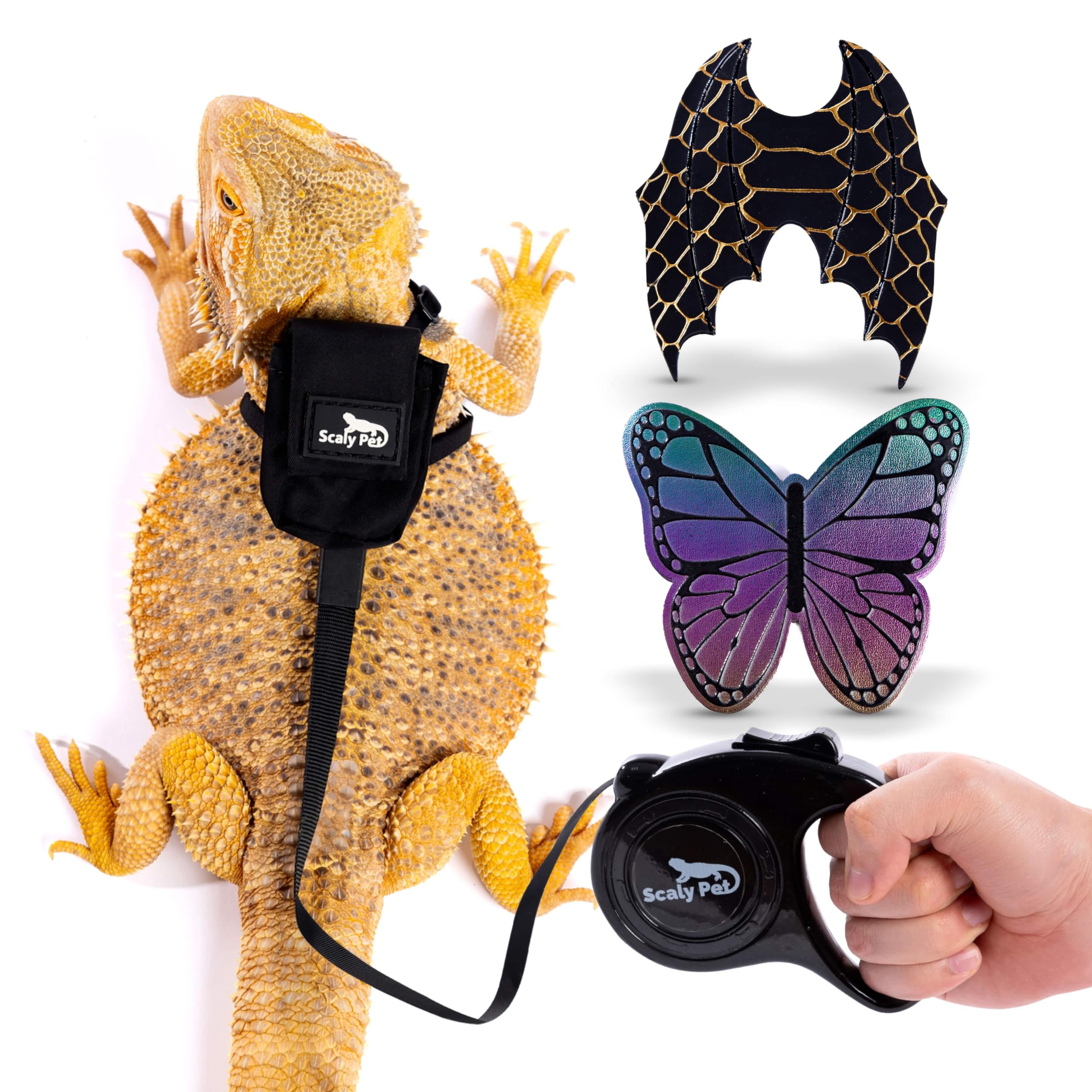 Scaly Pet Bearded Dragon leash and harness set showing elastic comfort and secure fit