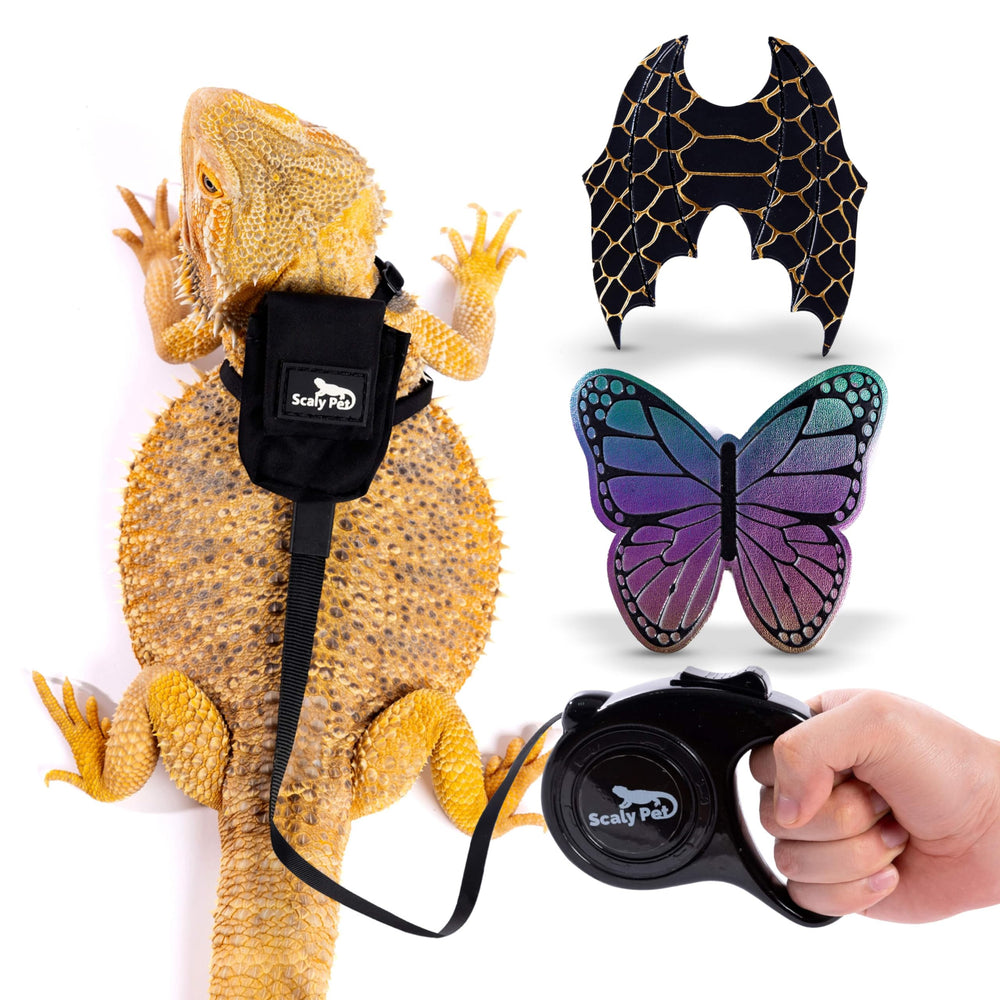 Scaly Pet Bearded Dragon leash and harness set showing elastic comfort and secure fit