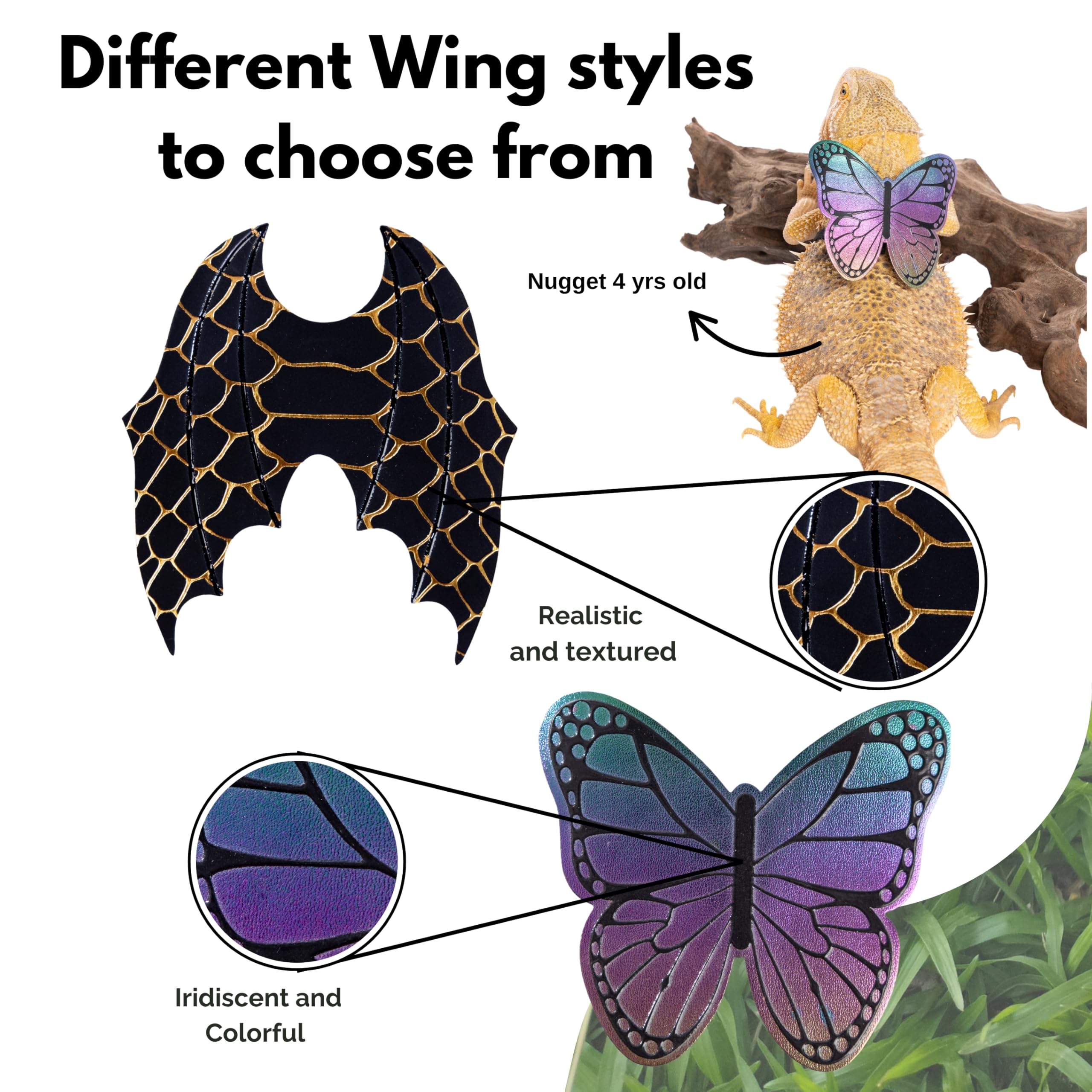 Scaly Pet bearded dragon wings with iridescent butterfly wings for dress-up