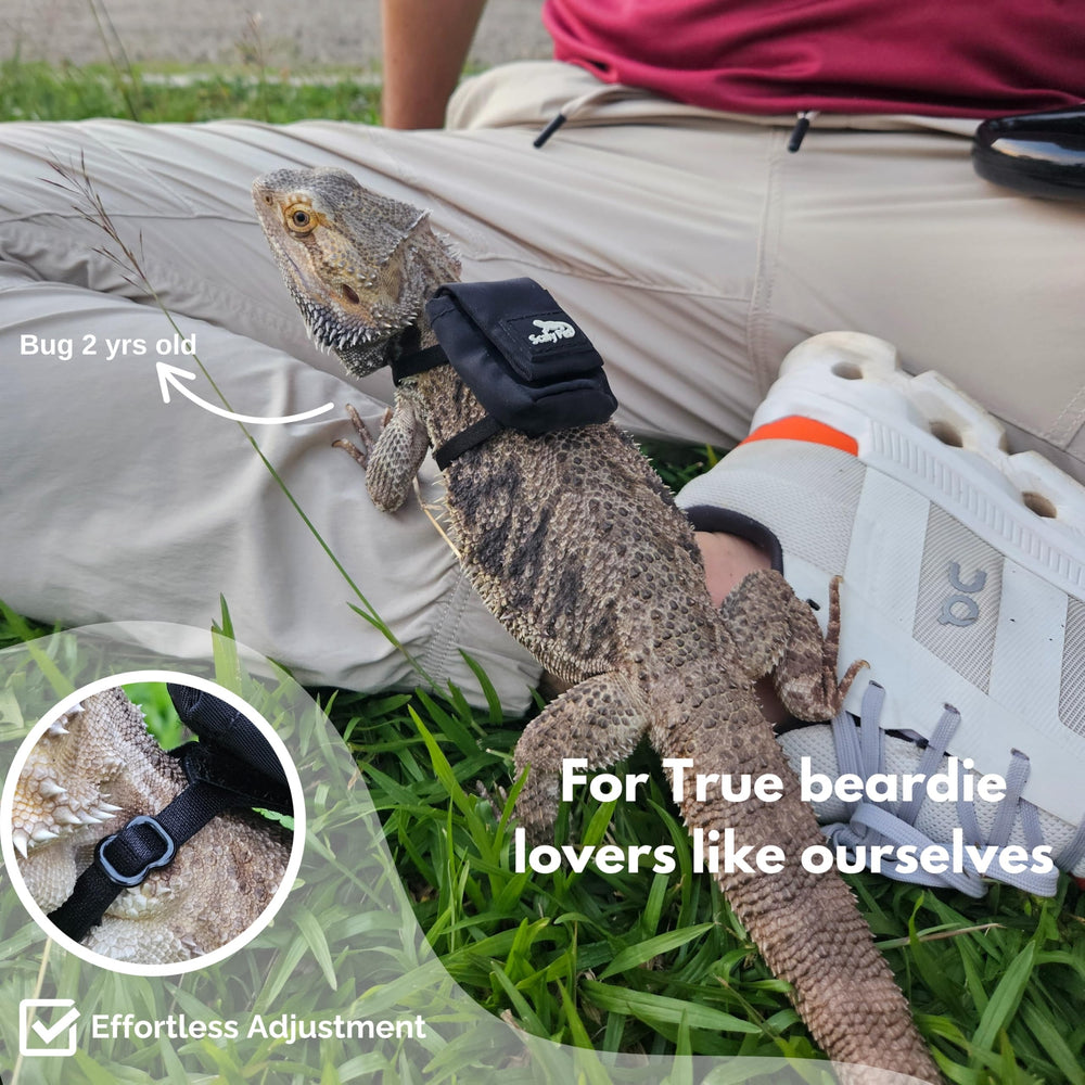 Scaly Pet reptile backpack accessory for carrying small items on outings