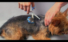 Scaredy Cut grooming guide and storage bag—easy setup and tidy storage.