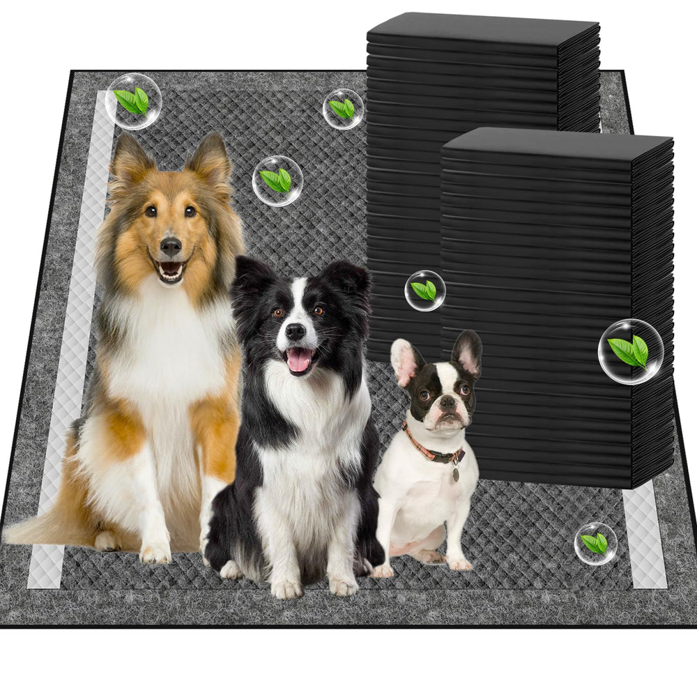 SCLOSE charcoal pad with 36x36 surface for quick training and mess control.