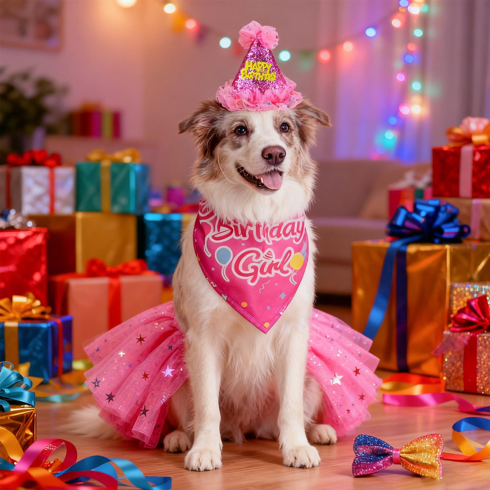SCENEREAL birthday dress for dogs in rose red adds princess flair