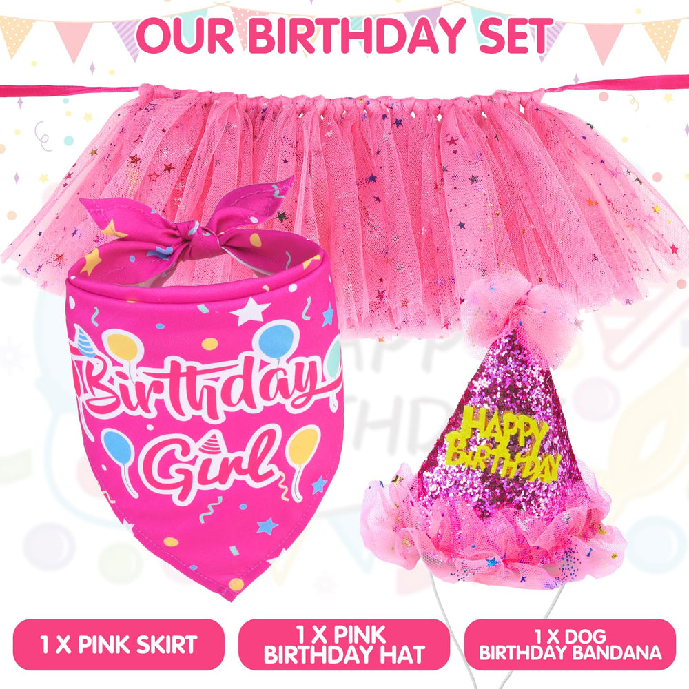 SCENEREAL dog party setup in rose red for memorable moments