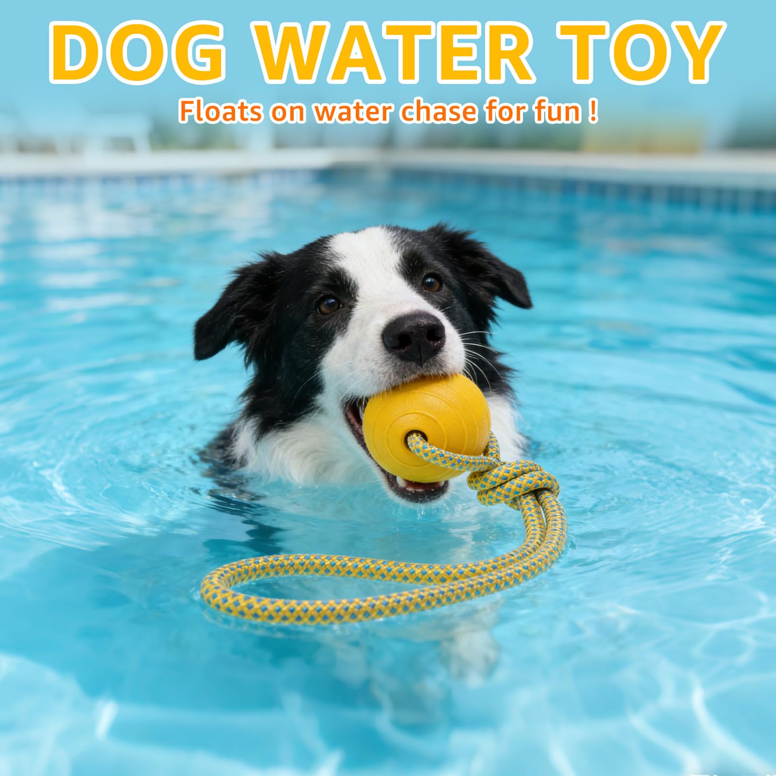 SCENEREAL dog tug and fetch action with durable rope for lively sessions.