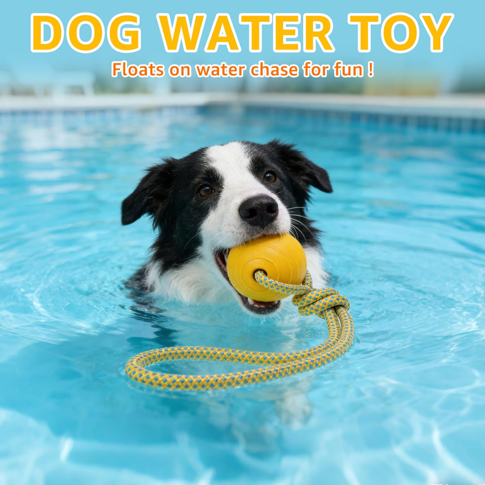SCENEREAL dog tug and fetch action with durable rope for lively sessions.
