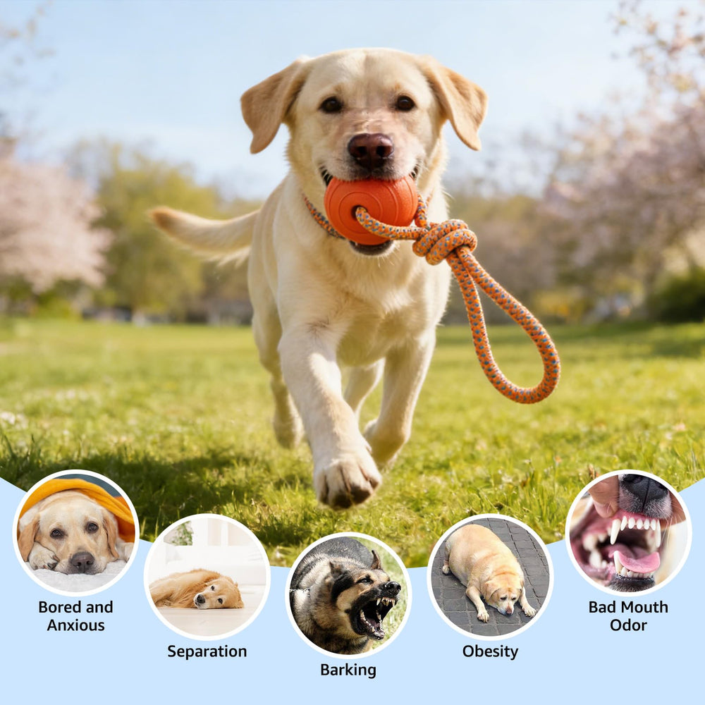 SCENEREAL floating dog toy ball on rope in yellow, high visibility for outdoor play.