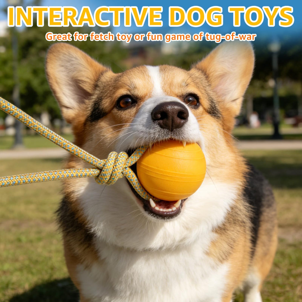 SCENEREAL two-pack orange and yellow for versatile fetch and tug games.