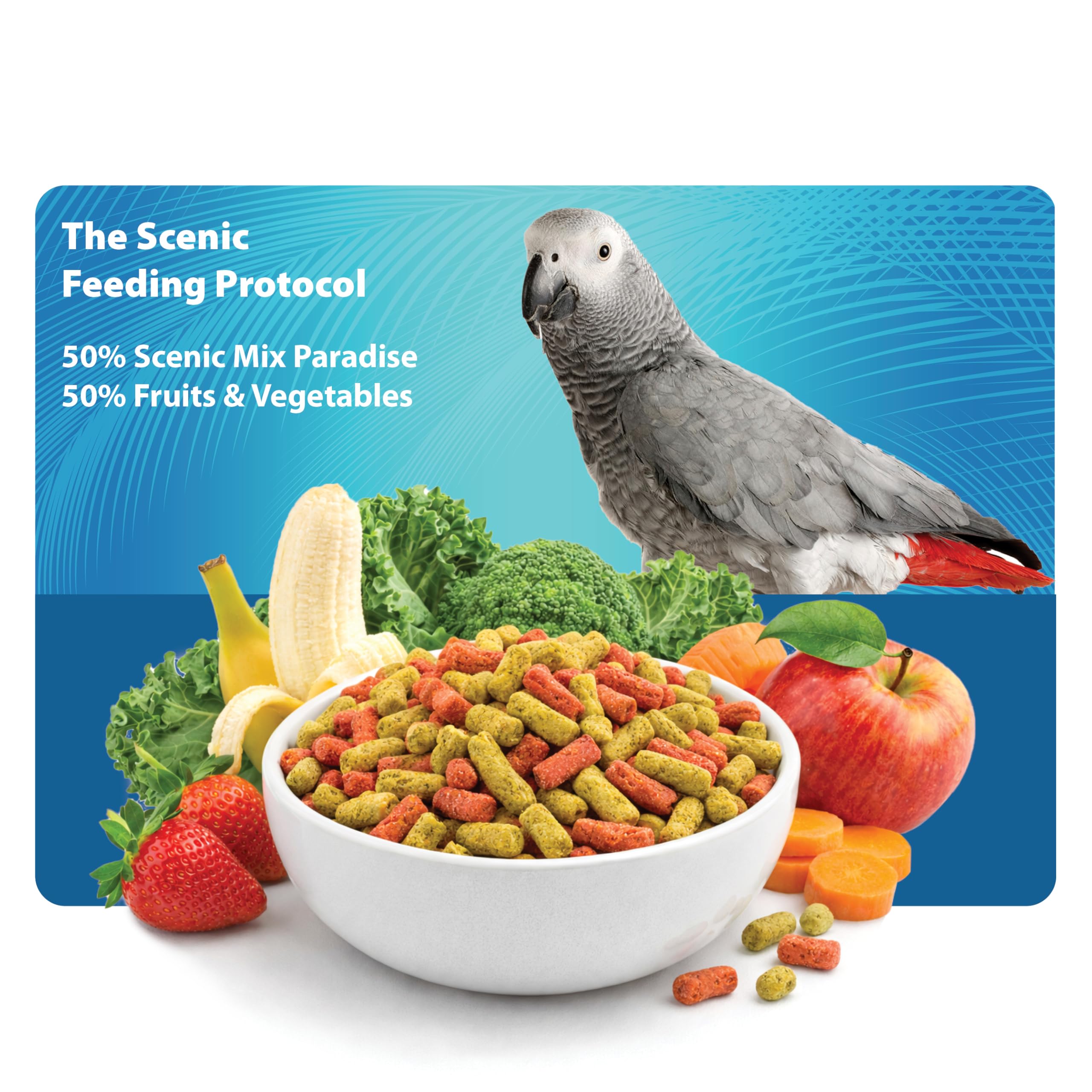 Scenic Mix Jungle supports healthy feathers and skin through omega-rich nutrition.