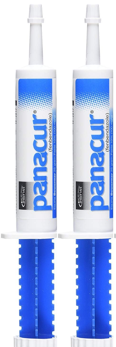 Schering Intervet Panacur horse dewormer paste with apple-cinnamon flavor for easy administration