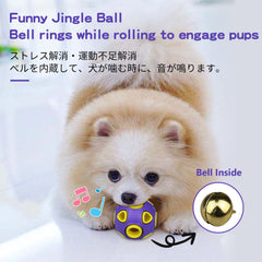 SCHITEC dog balls with bell sound hollow design promotes easy pickup indoors.