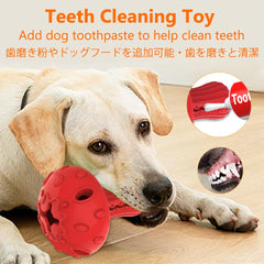 SCHITEC beef scent attracts dogs to chew and explore the toy.