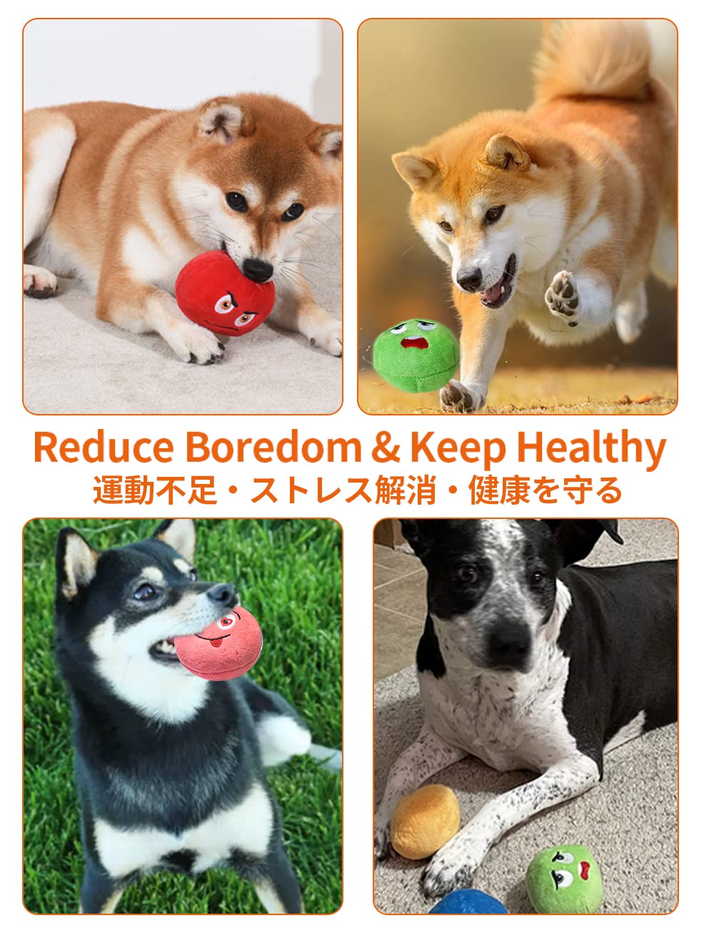 SCHITEC Squeaky Dog Toy vibrant colors aid visibility during play.
