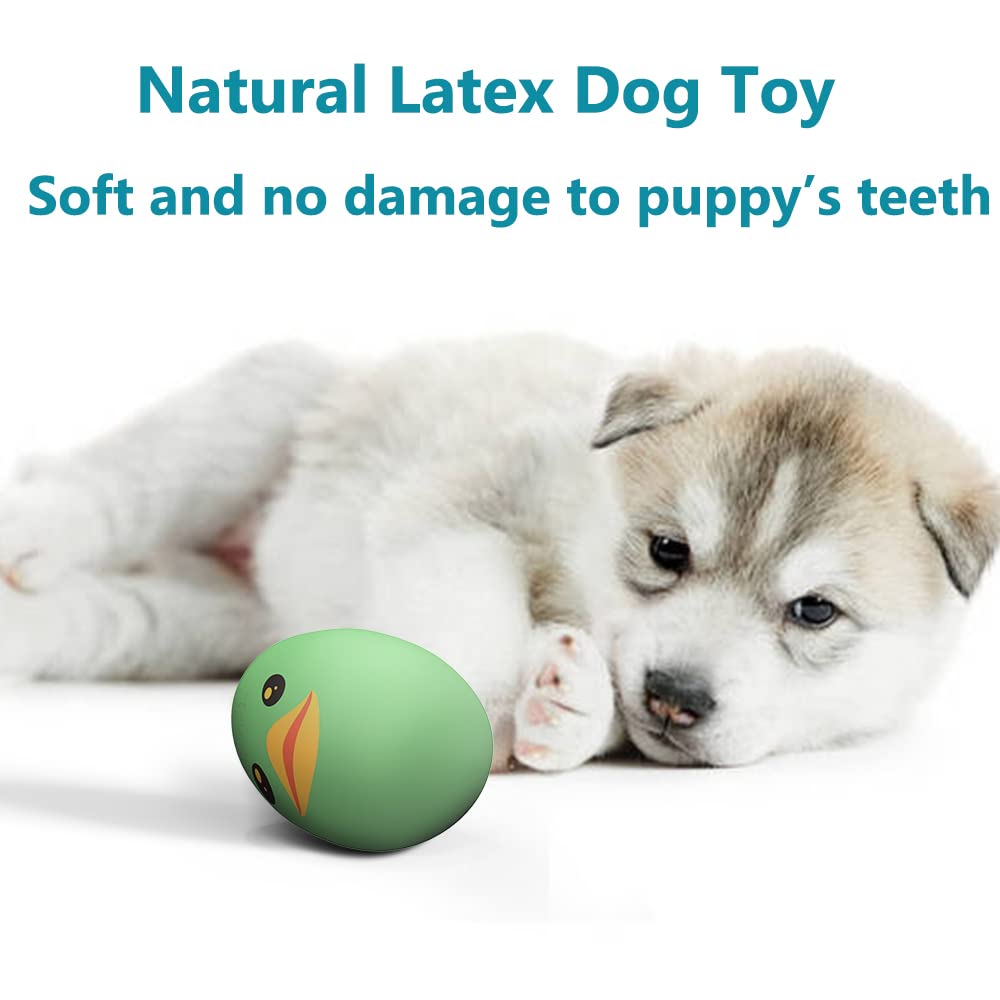 SCHITEC 1.6 by 2.5 inch size ideal for small to medium dogs.