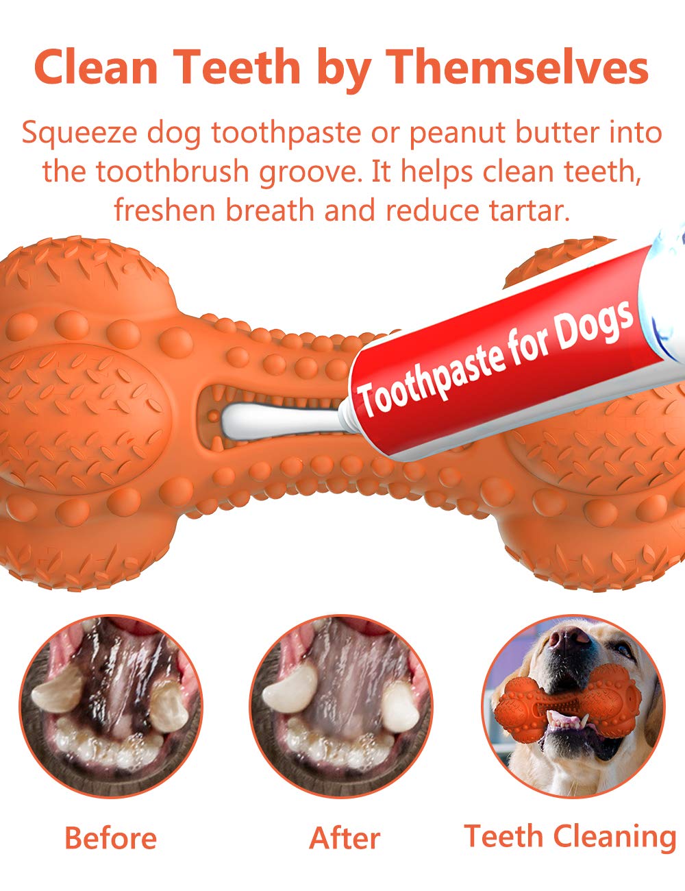 SCHITEC chew toy with textured bumps for gum massage and tooth contact.