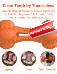 SCHITEC chew toy with textured bumps for gum massage and tooth contact.